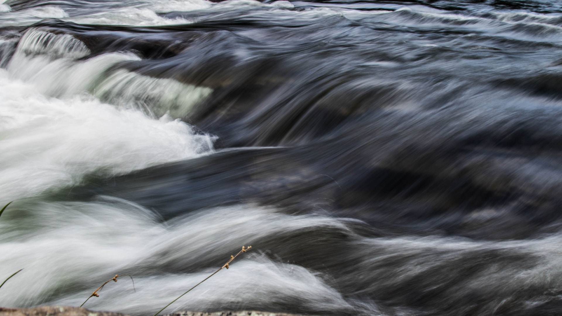 Close view of a flowing river
